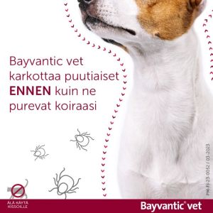 BAYVANTIC VET paikallisvaleluliuos 500/100 mg koirille 4–10 kg 4 x 1 ml
