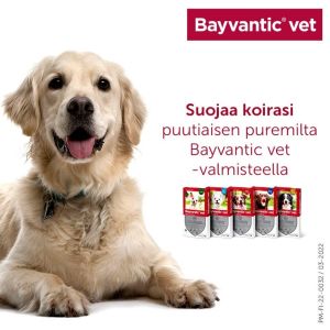 BAYVANTIC VET paikallisvaleluliuos 1250/250 mg koirille 10–25 kg 4 x 2.5 ml