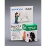Bio-Groom SureClot verenvuodontyrehdytyspulveri 14 g
