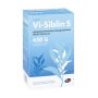 VI-SIBLIN S rakeet 880 mg/g 450 g
